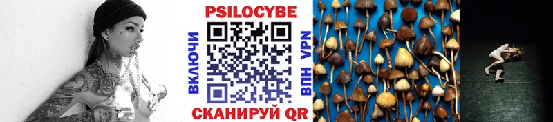 Псилоцибиновые грибы прущие грибы  Купить закладки  Сосенский 